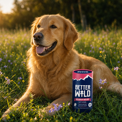 Natural Allergy Relief Chews